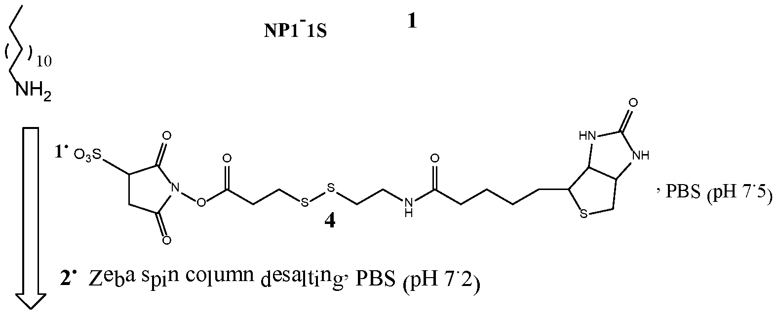 Figure imgf000185_0001