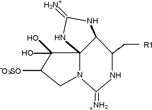 Figure FDA0000129181980000041