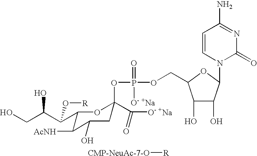 Figure US20080242607A1-20081002-C00046