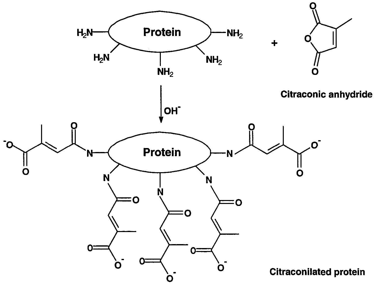 Figure imgf000049_0001