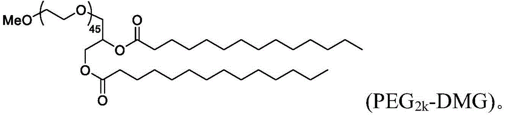 Figure BDA0003652566710001473