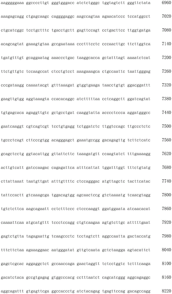 Figure IDA0003936212790000161