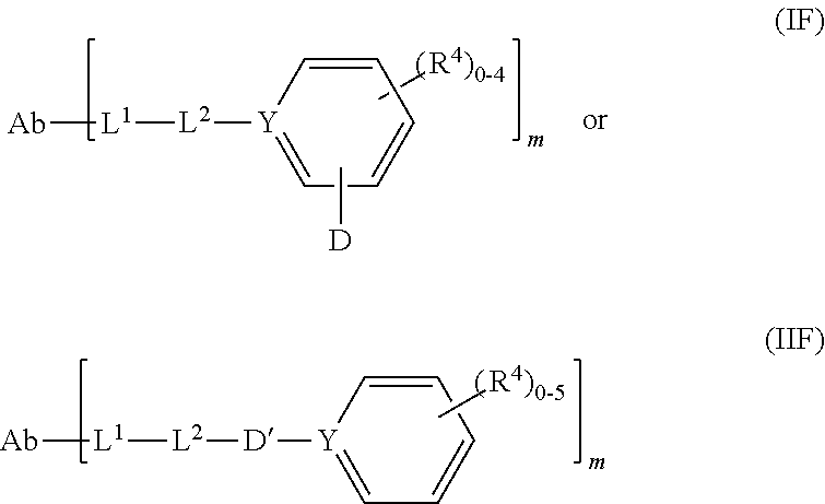 Figure US20250205350A1-20250626-C00296