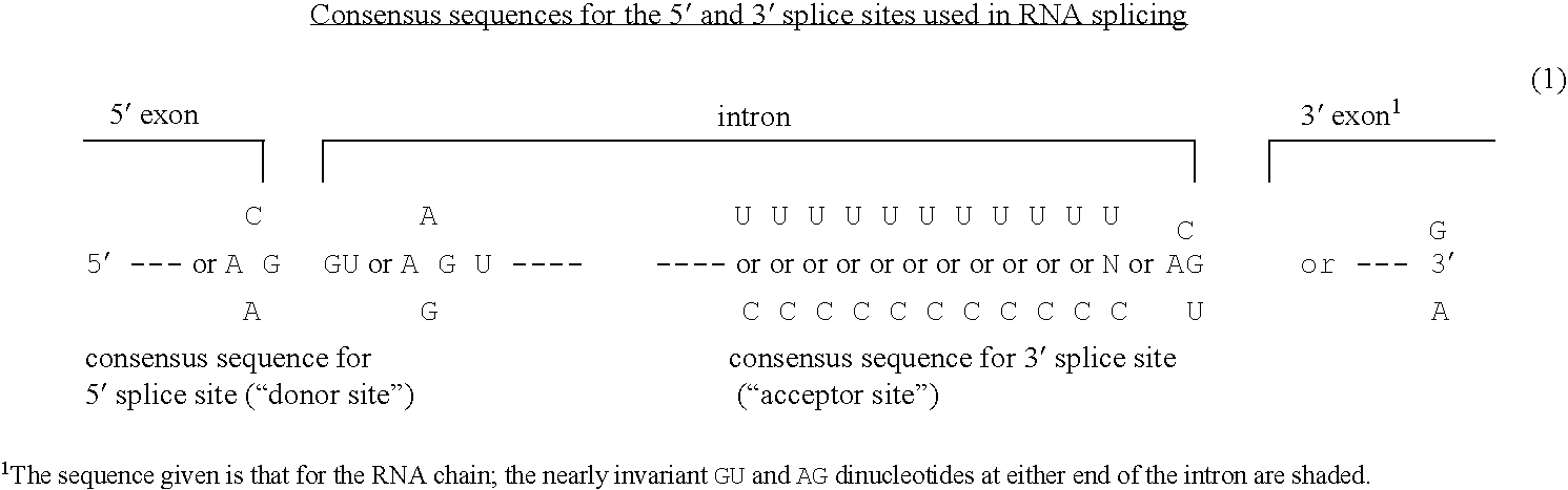 Figure US06806084-20041019-C00001