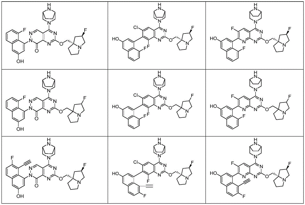 Figure FDA0003616036720000102