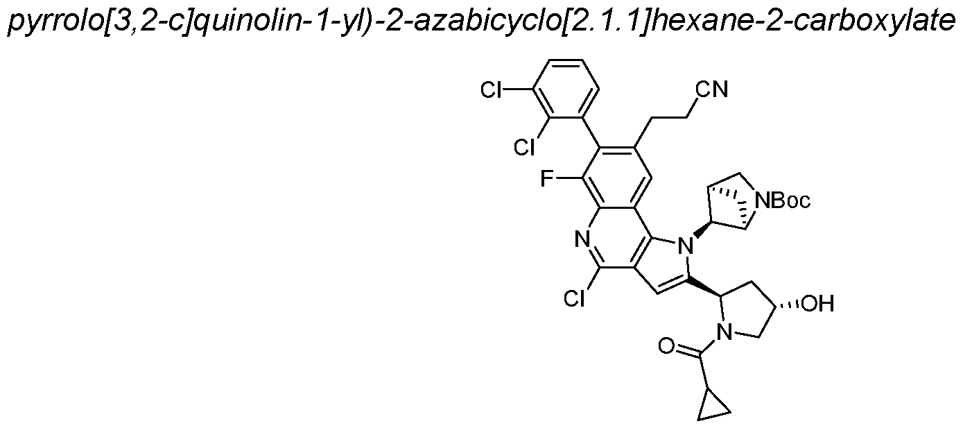 Figure imgf000101_0001