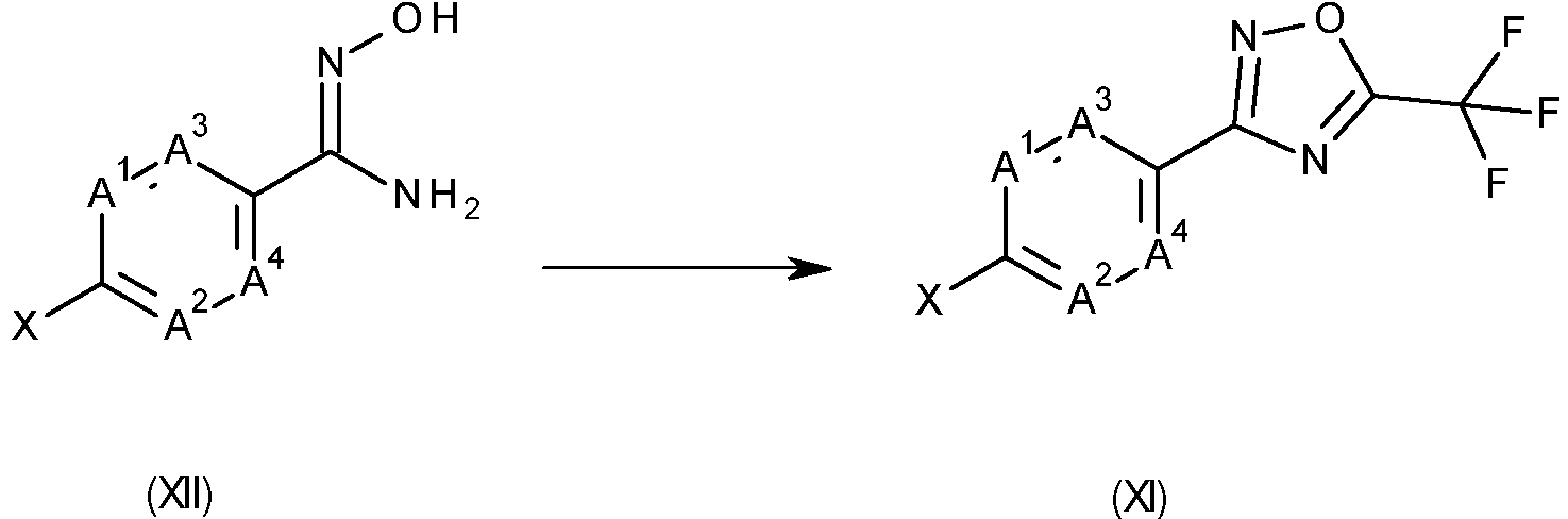 Figure imgf000012_0002