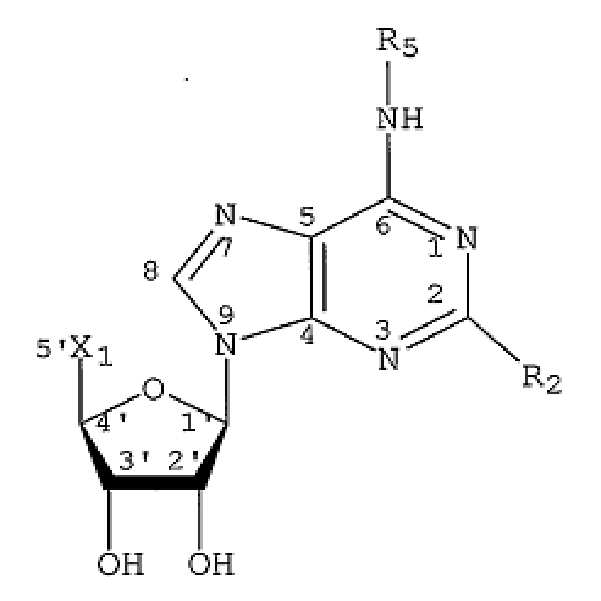 Figure 112008059179216-pct00024