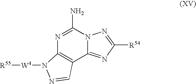 Figure US20070149555A1-20070628-C00019
