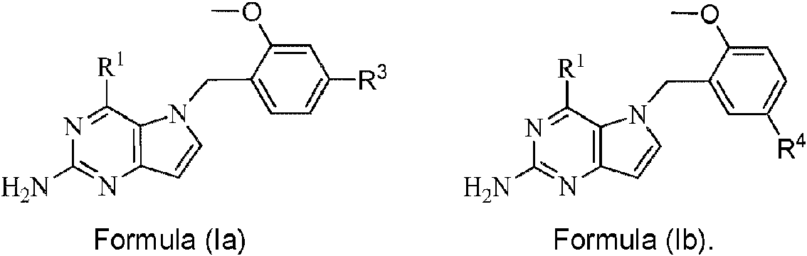 Figure imgf000004_0001