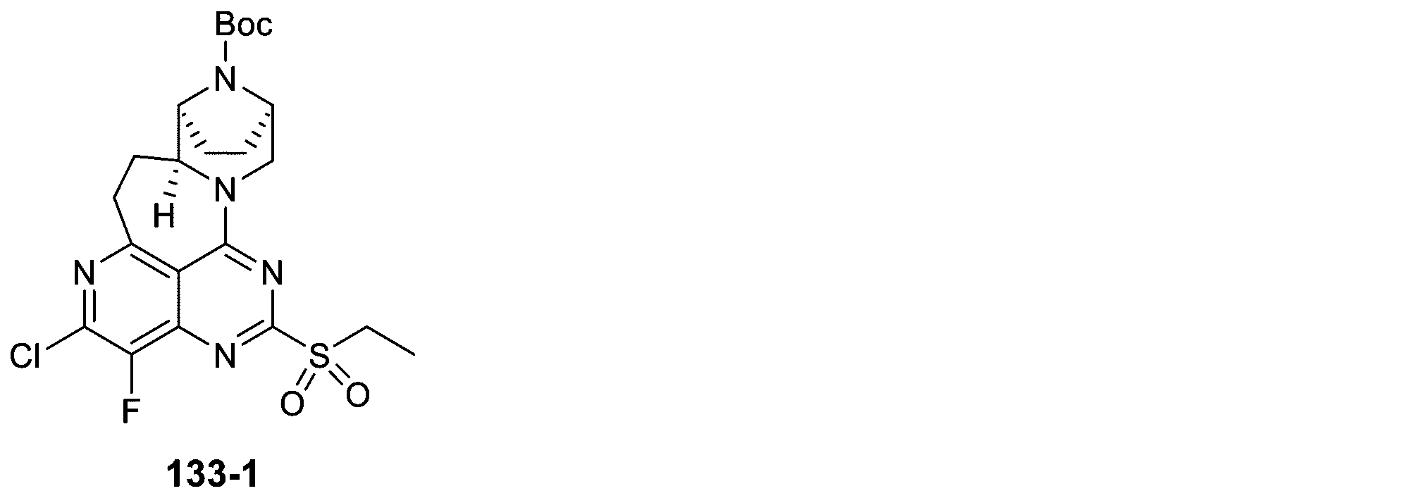 Figure 2025513258000456