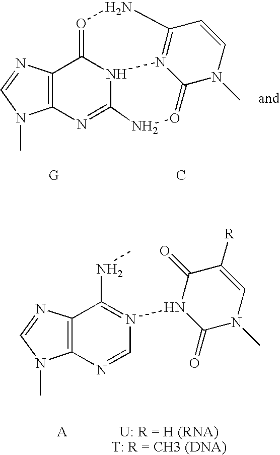 Figure US20070123703A1-20070531-C00016