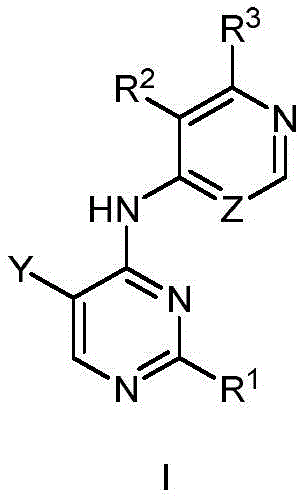 Figure BDA0002726624590000011