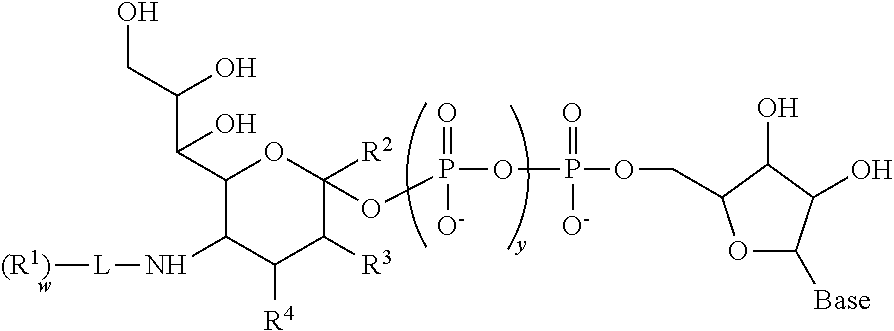 Figure US20100330645A1-20101230-C00123