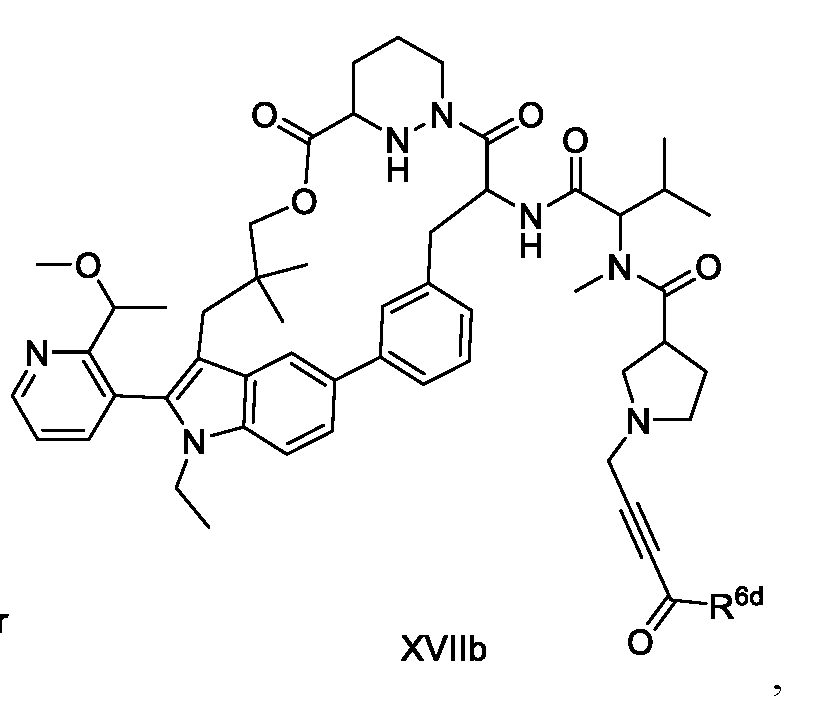 Figure imgf000011_0002