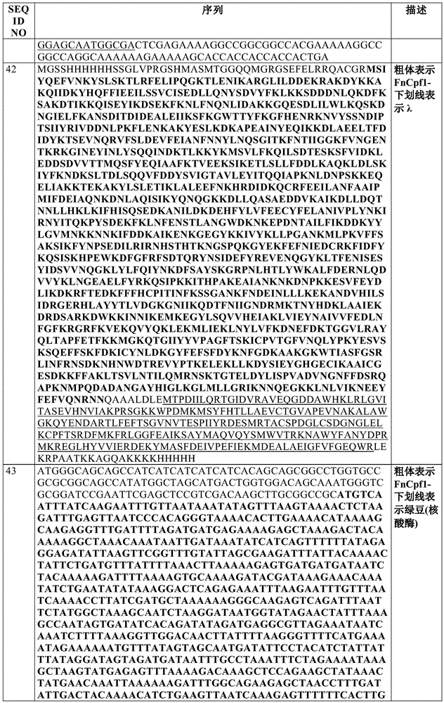 Figure BDA0002550795540001351