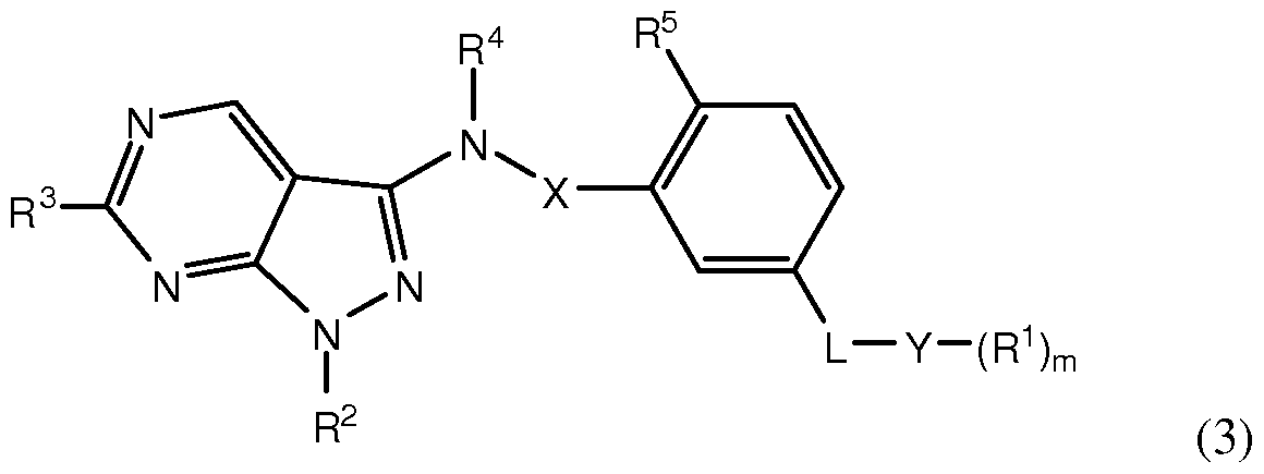 Figure imgf000004_0002