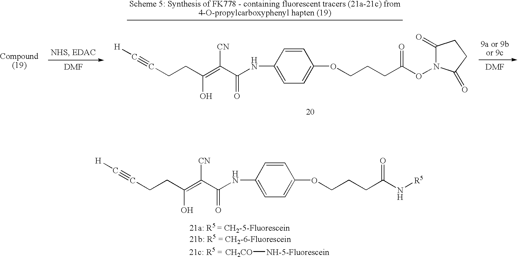Figure US20070269841A1-20071122-C00011
