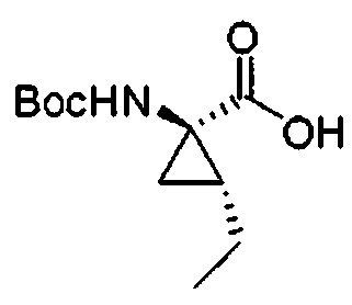 Figure 112009076339753-PCT00049