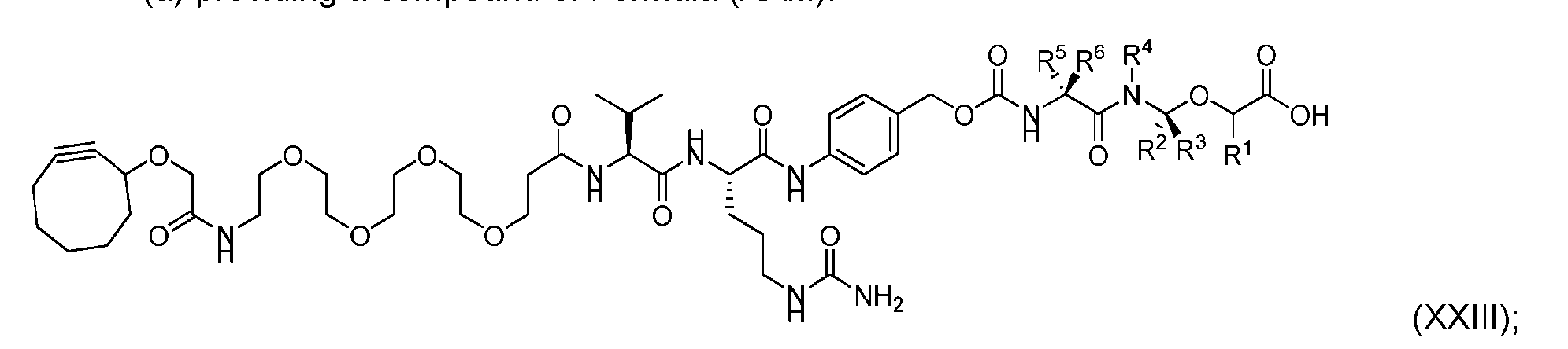 Figure imgf000031_0001