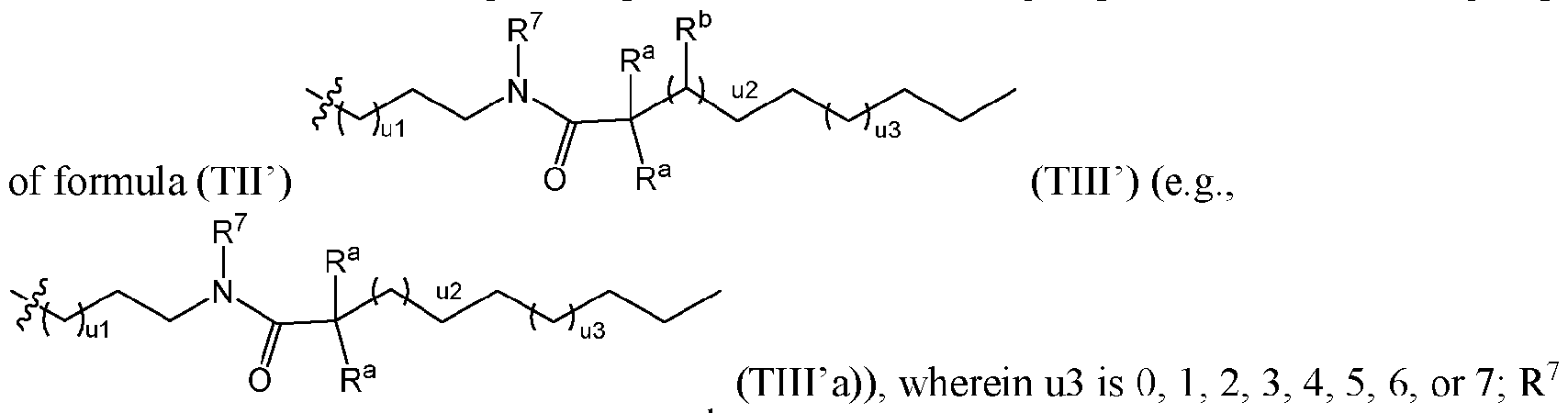 Figure imgf000006_0002