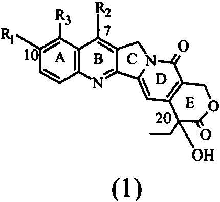 Figure imgf000013_0001