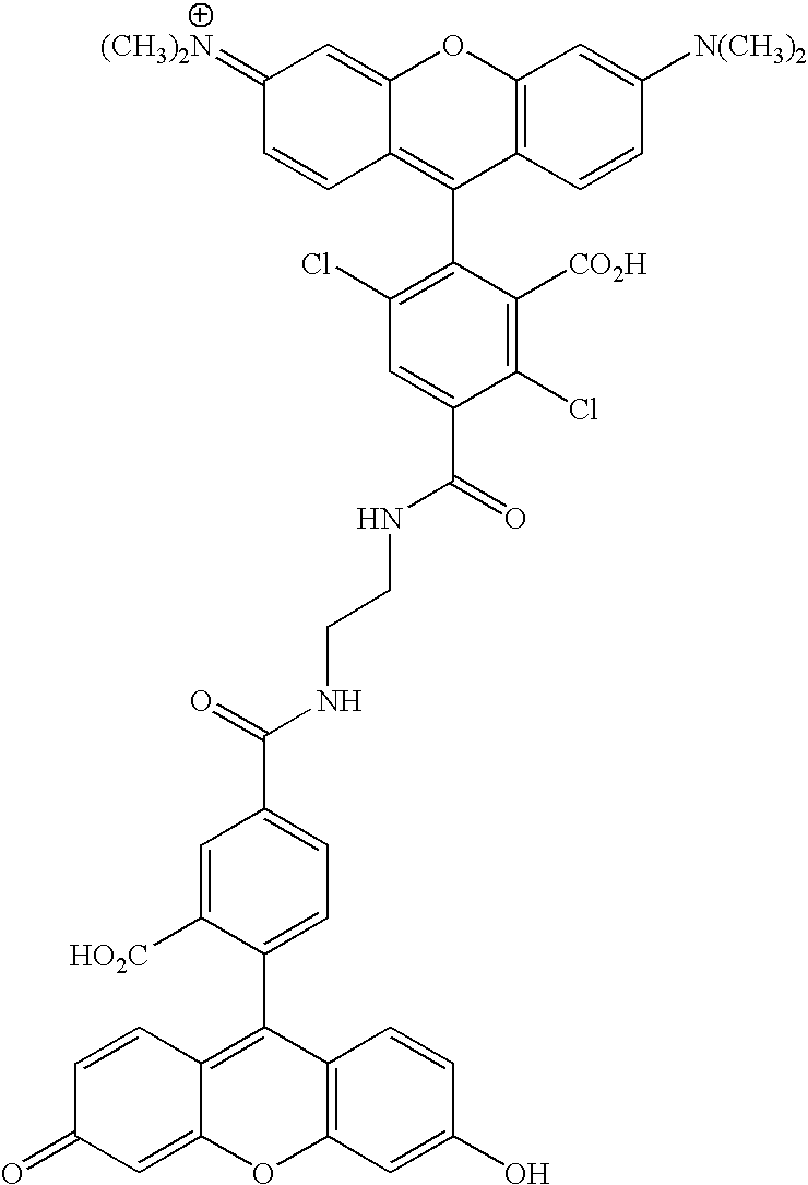 Figure US20070154927A1-20070705-C00081