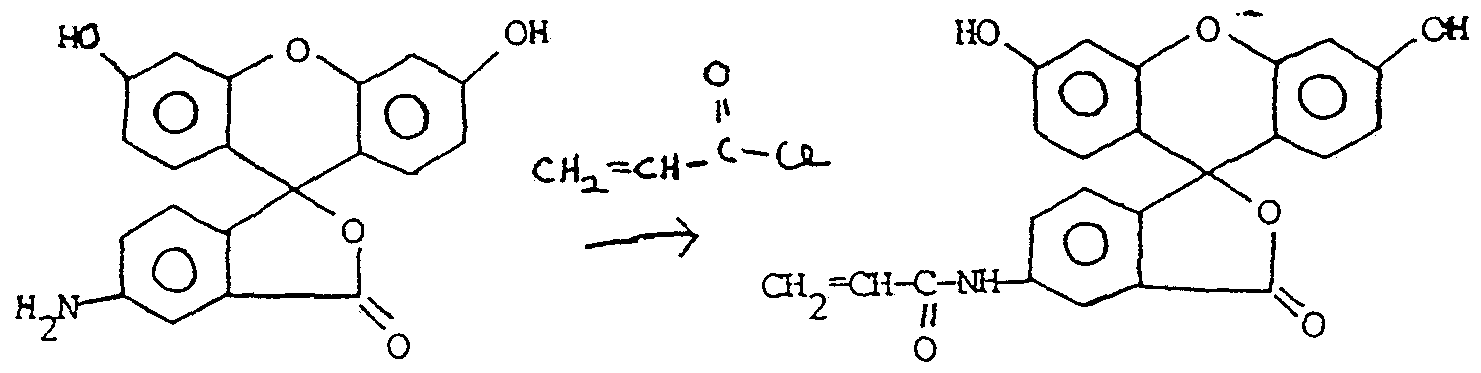 Figure imgf000021_0001