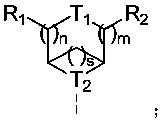 Figure PCTCN2022075725-appb-100015