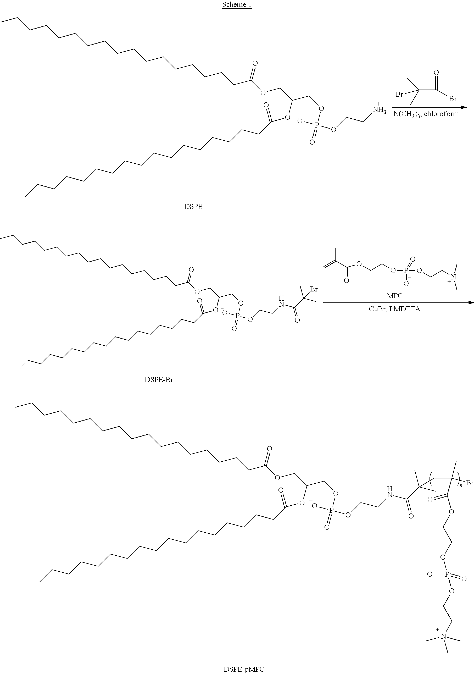 Figure US20250043048A1-20250206-C00011