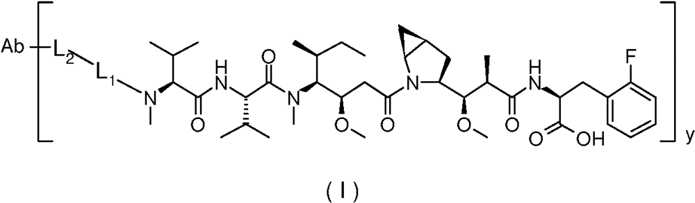 Figure GPA0000255740330000031