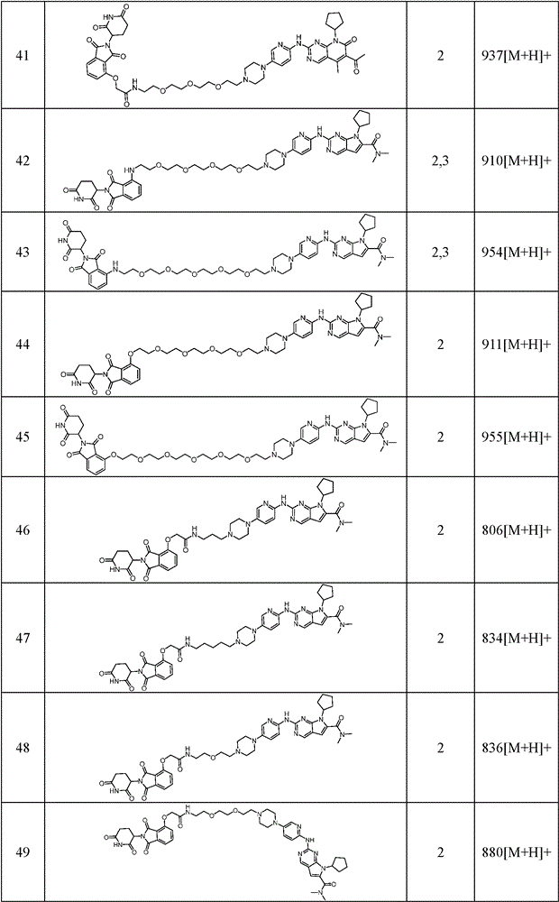 Figure GPA0000265661190000211