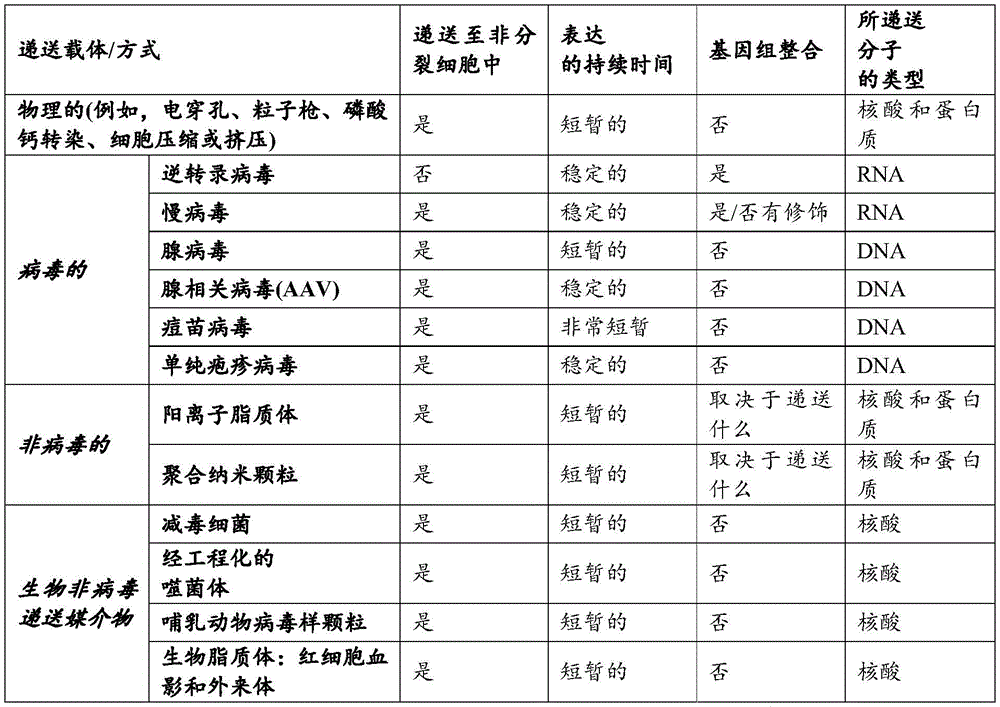 Figure BDA0004088486260000552