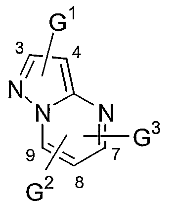 Figure imgf000003_0001