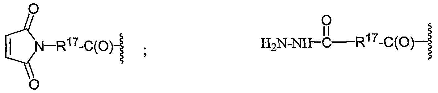 Figure imgf000078_0001