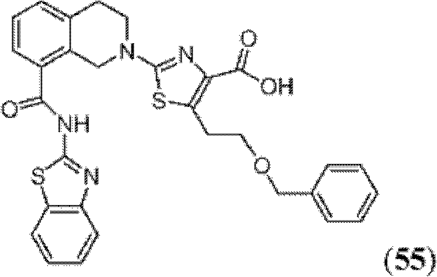 Figure BDA0000083236130002061