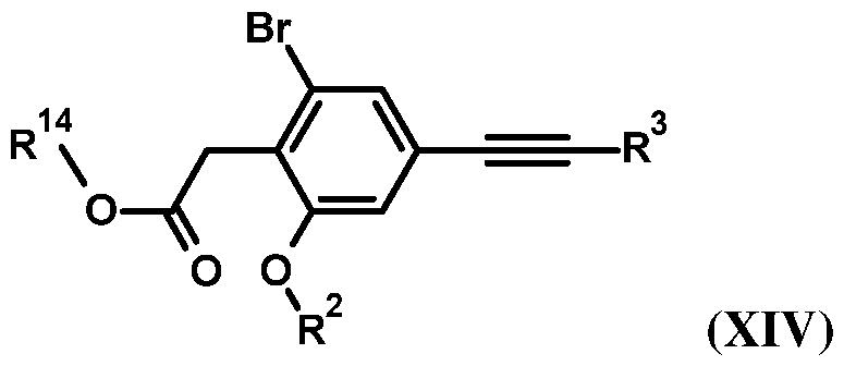Figure imgf000013_0001