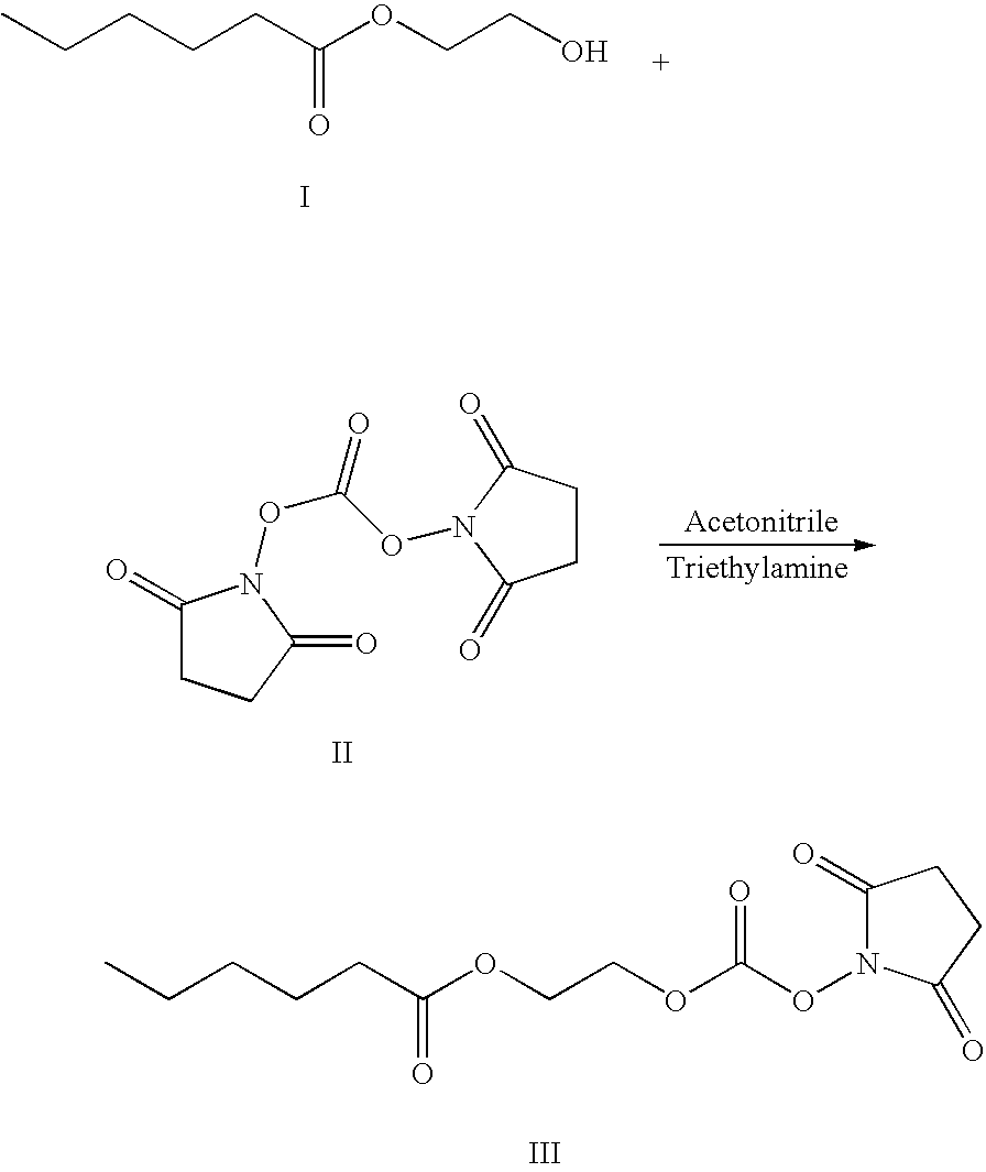 Figure US20080207505A1-20080828-C00039