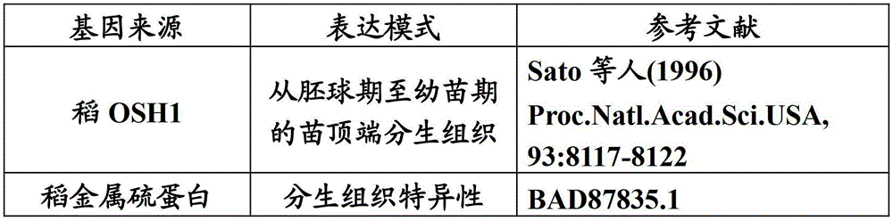 Figure BDA00003055670700222