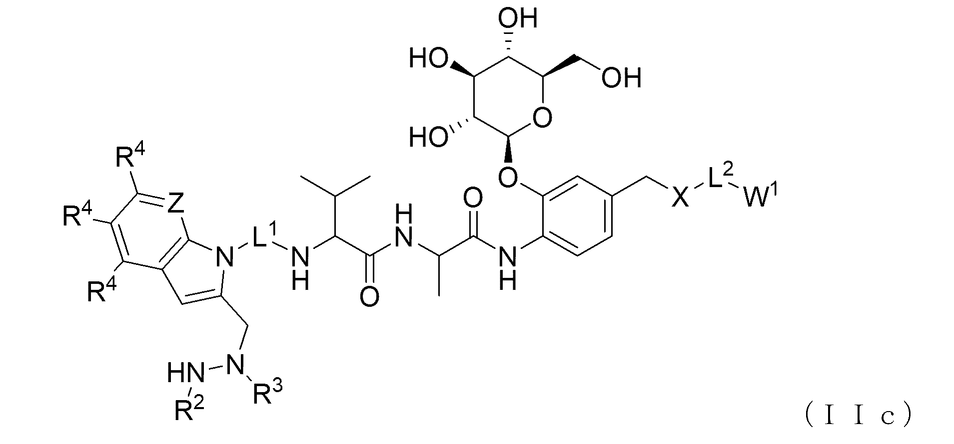 Figure 2023551203000016