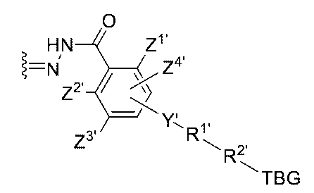 Figure 0007442821000152