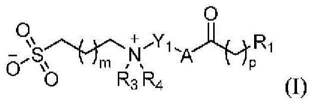 Figure FDA0003301559370000032