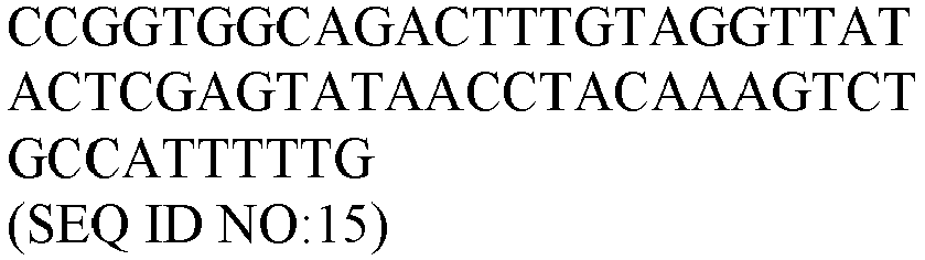Figure imgb0019