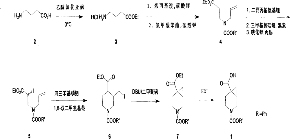 Figure G2009102018600D00011