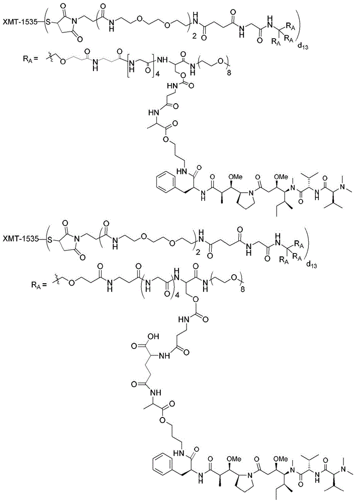 Figure BDA0003135424430001851