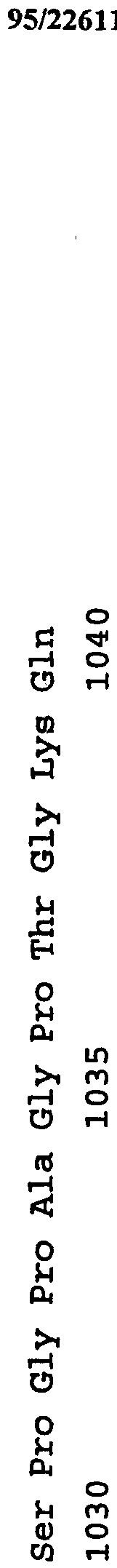 Figure imgf000207_0001