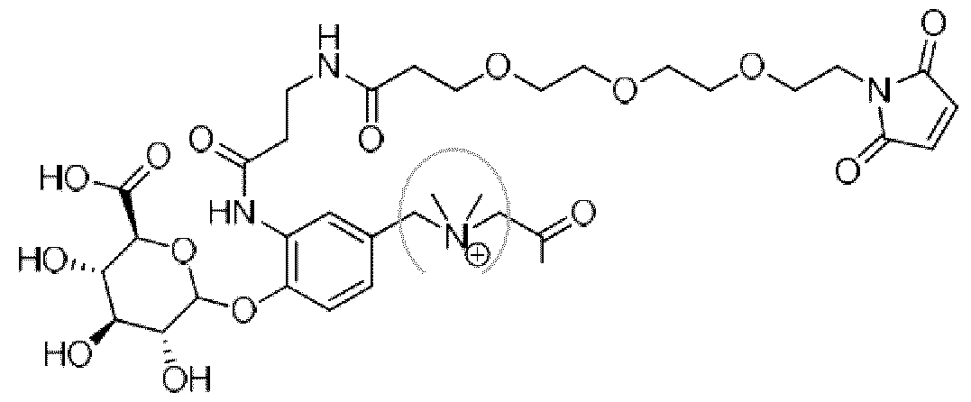 Figure imgf000018_0002
