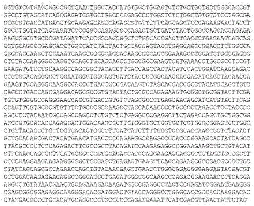 Figure BDA0001663560350000352