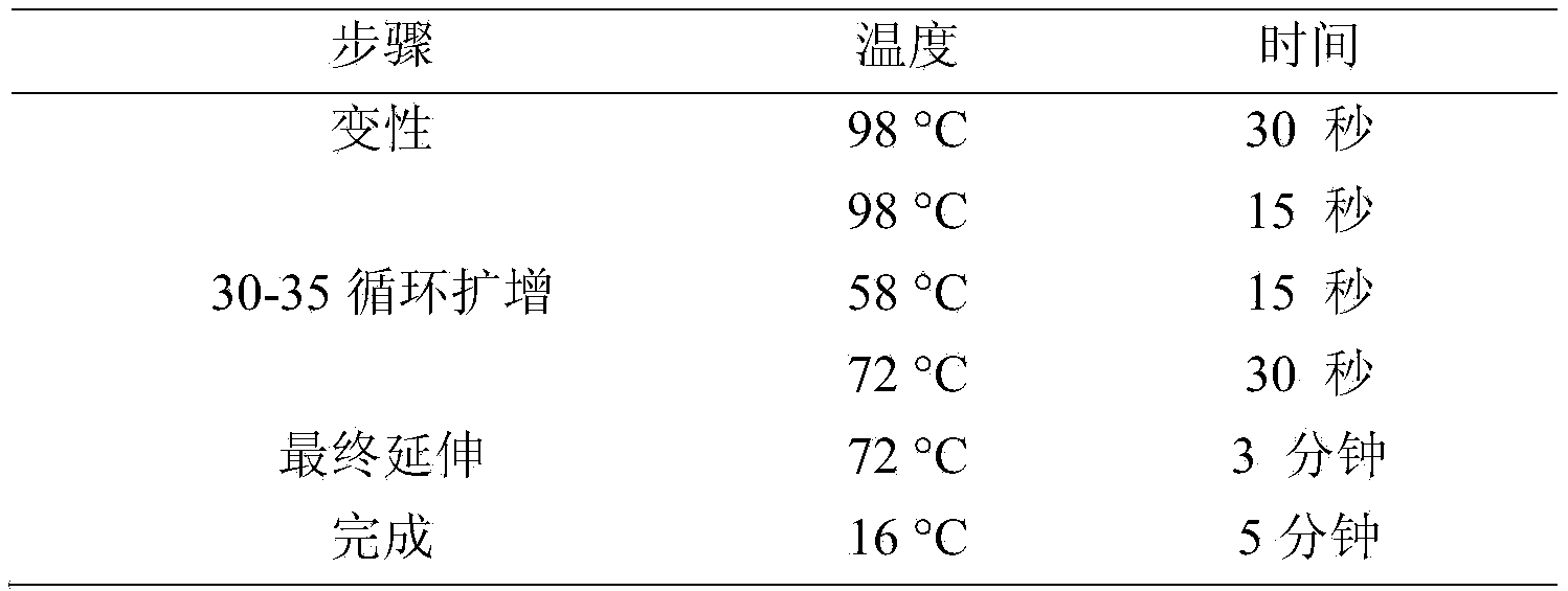 Figure PCTCN2020126747-appb-000006