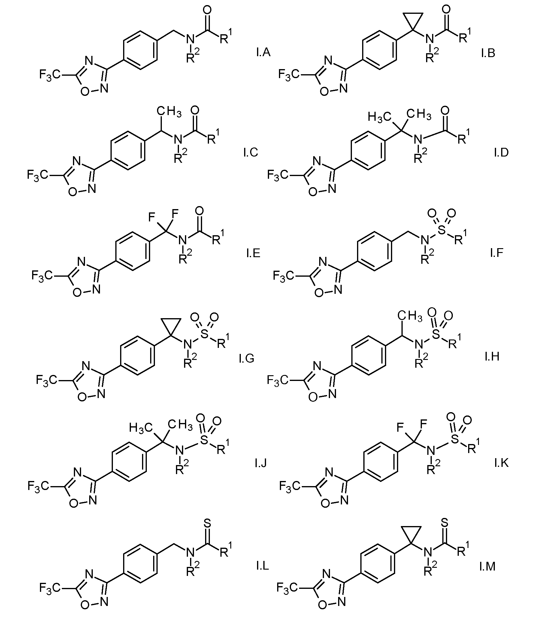 Figure imgf000014_0001